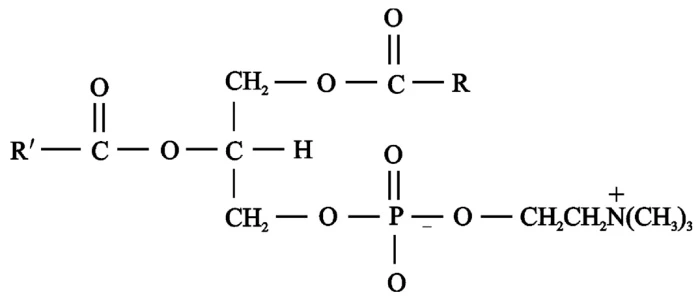bulk lecithin structure bulk lecithin structure