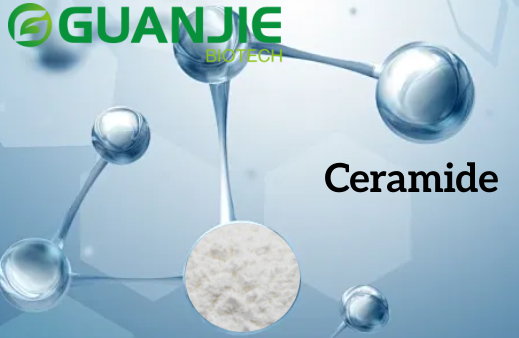 Pure Ceramide powder Pure Ceramide powder